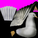 SeagullTex1