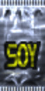 SoyFoodTex1